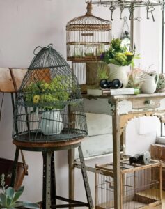 Margueritegarden Jpg