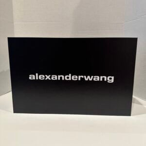 alexander wang small rico bag